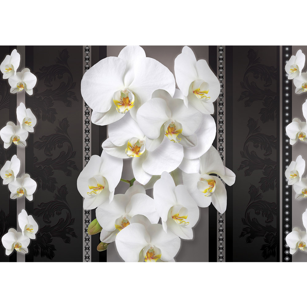 Fototapet Orhidee Alb Cu Mov - HD Wallpaper 