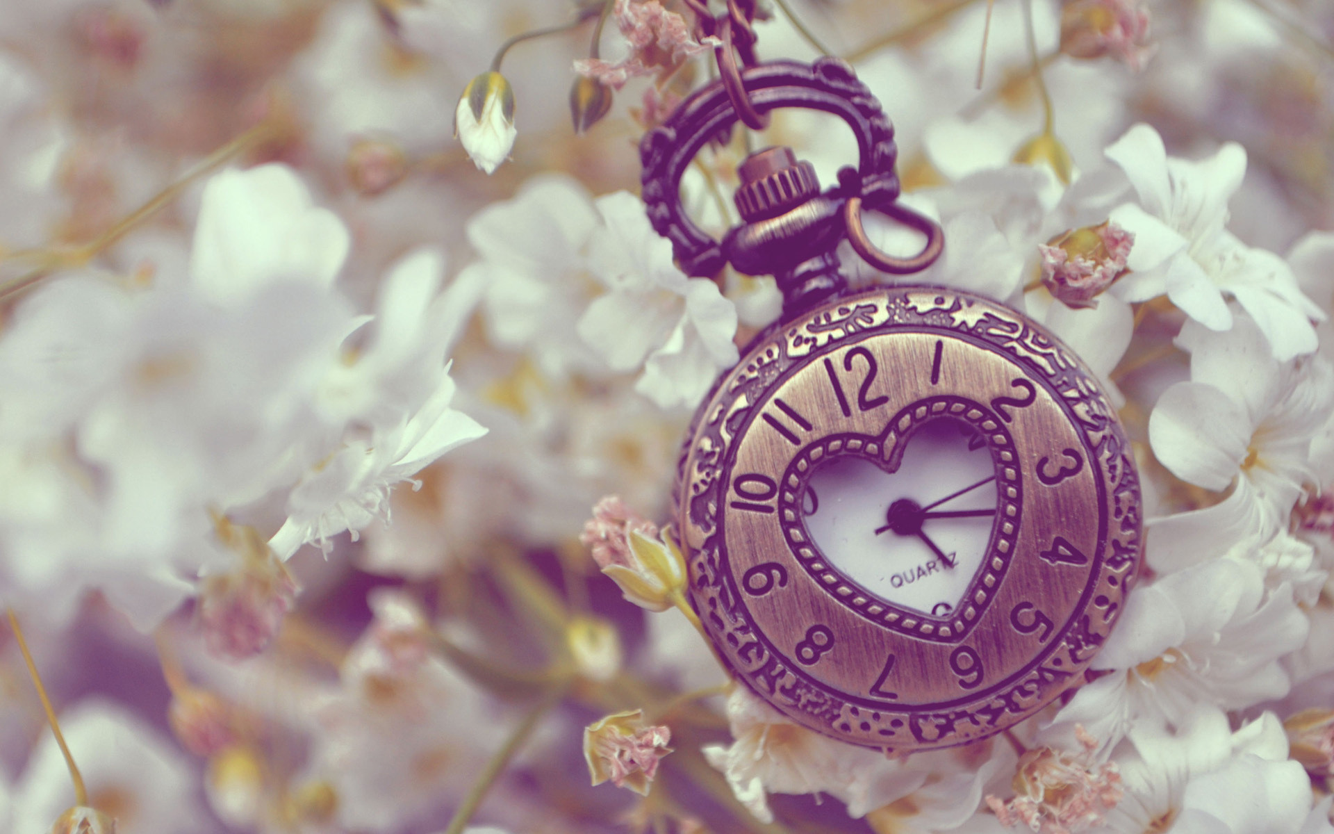 Full Size Of Uncategorized - Watch And Flowers - HD Wallpaper 