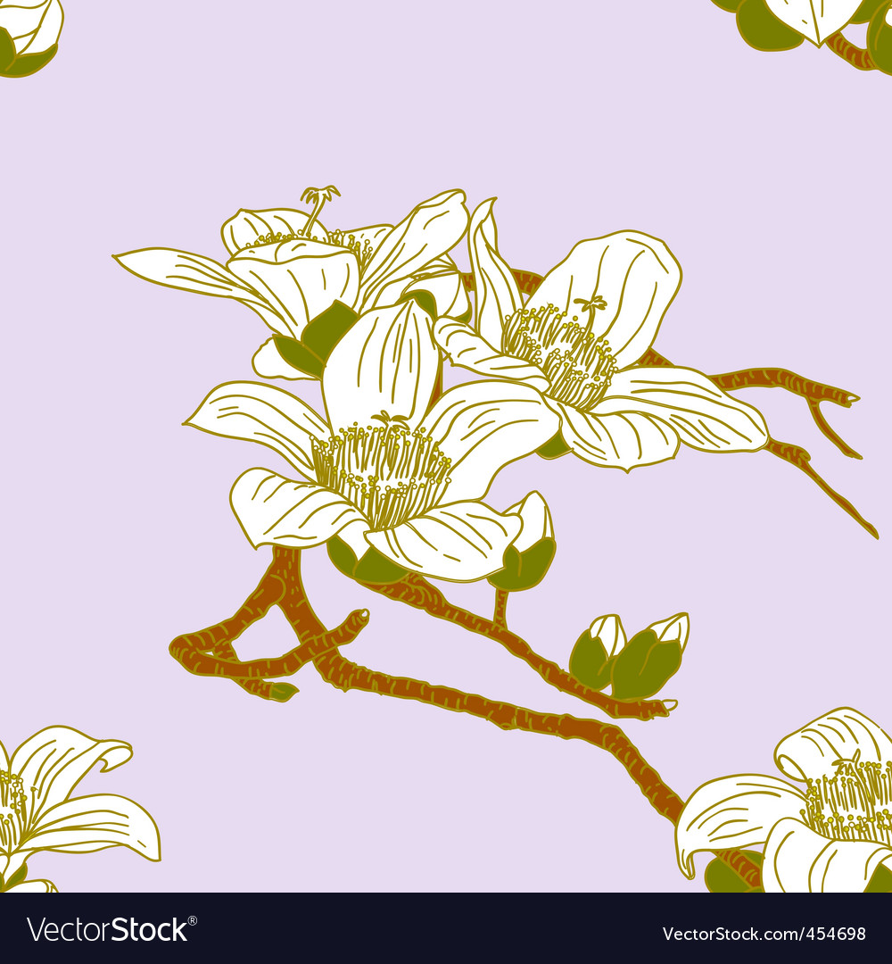 Orchids - HD Wallpaper 