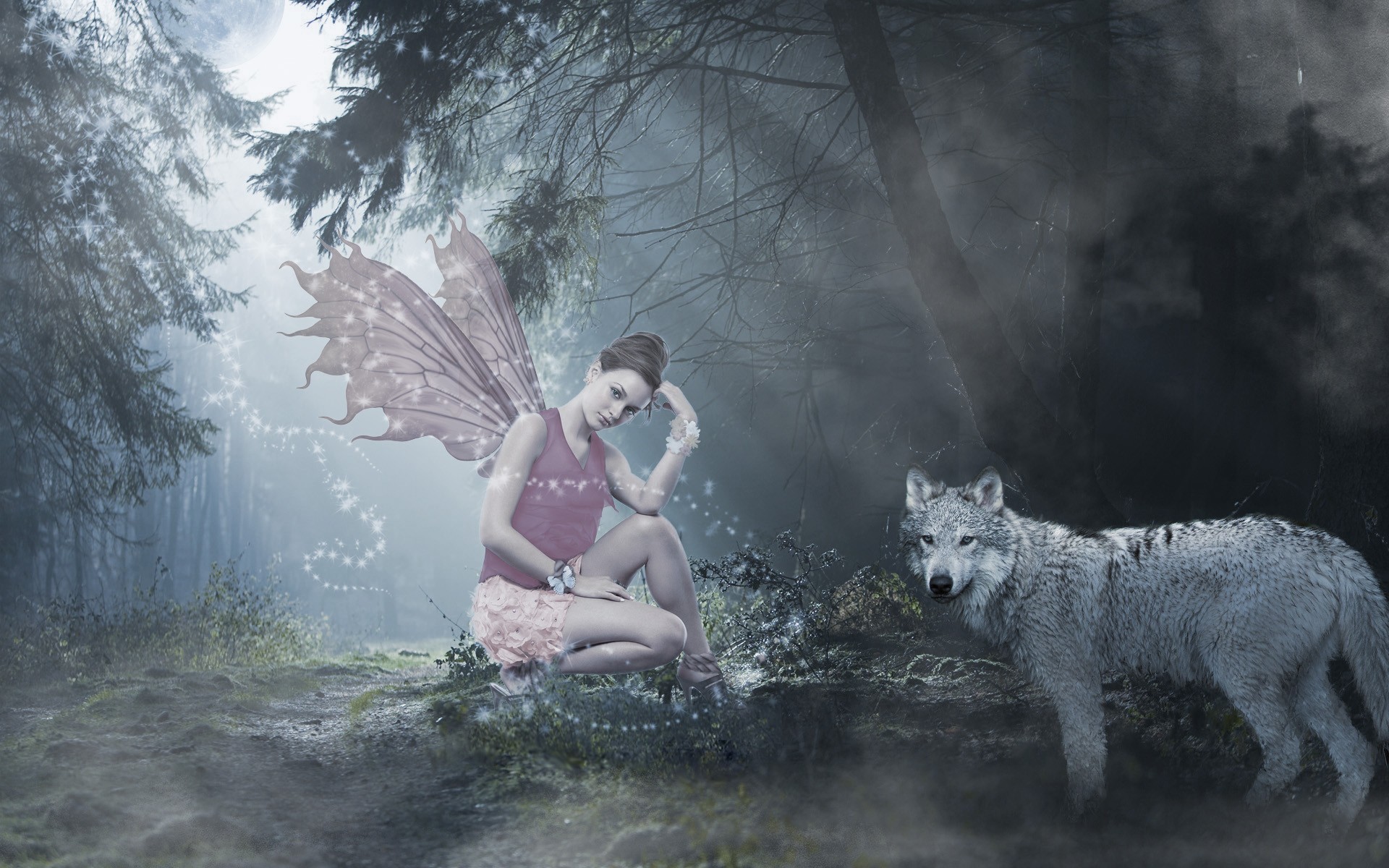 Enchanting Forest - HD Wallpaper 