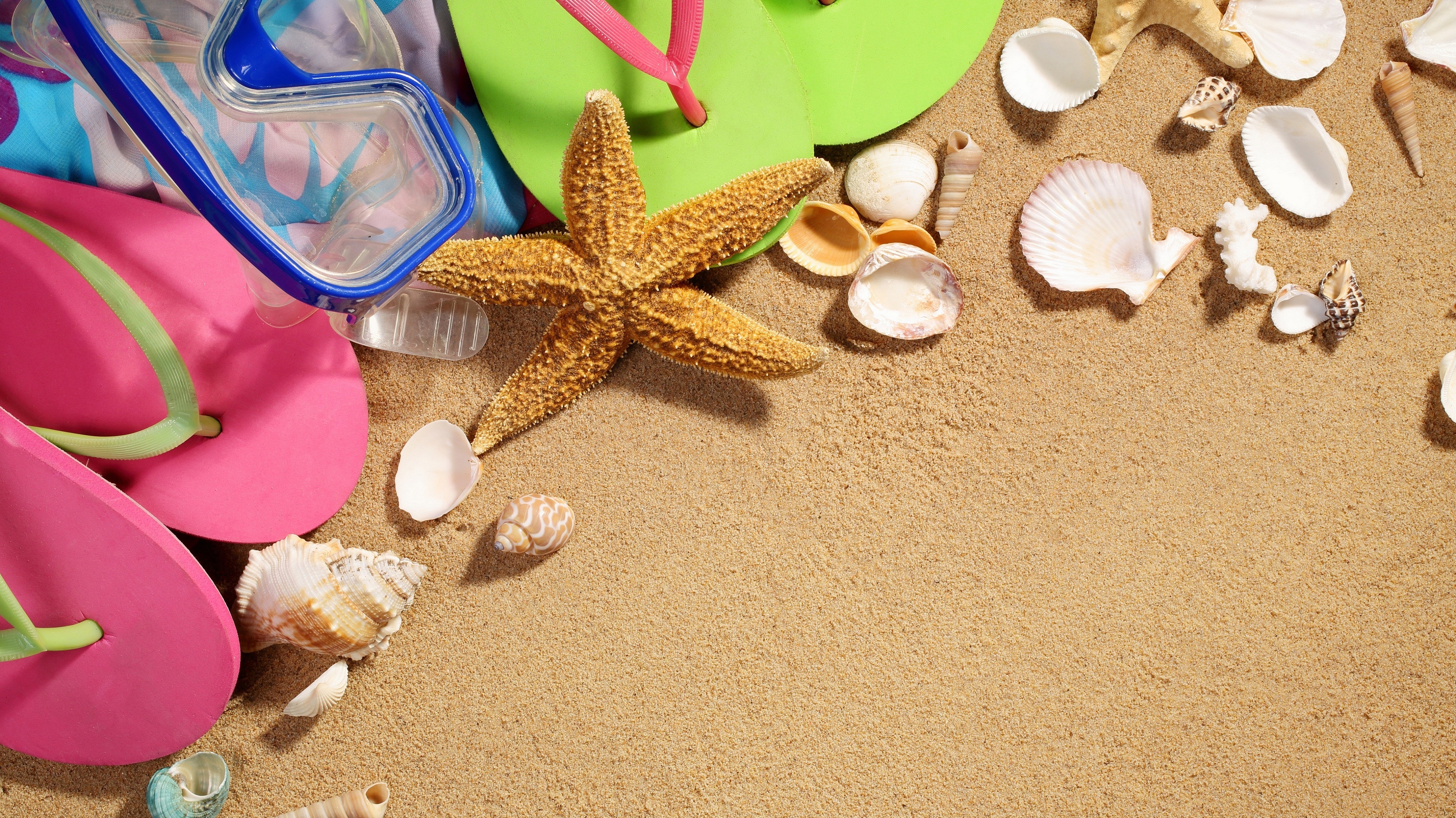 Wallpaper Beach, Starfish, Shell, Sand, Flip Flop - Papel De Parede De Estrela Do Mar E Areia - HD Wallpaper 
