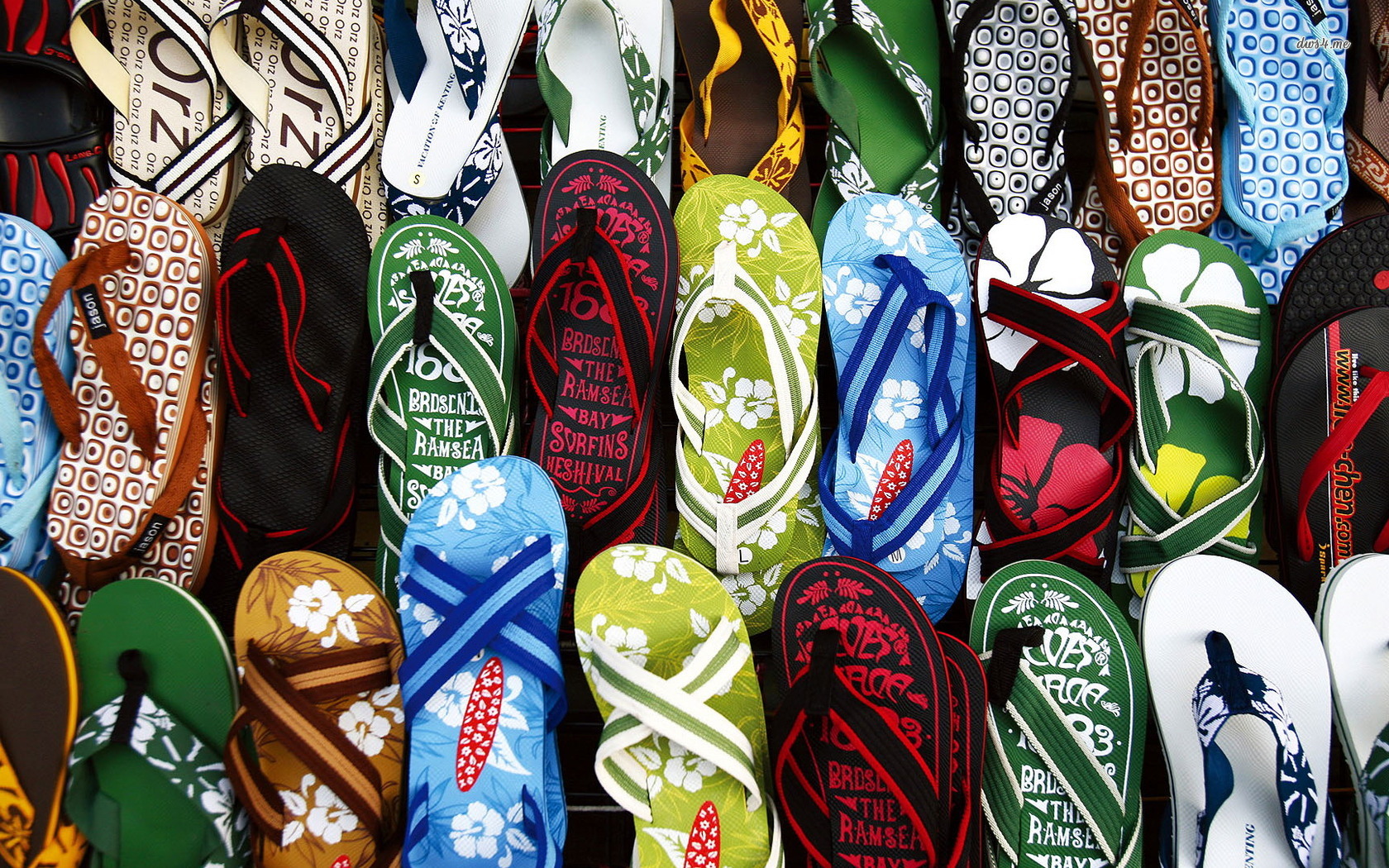 Wallpaper - HD Wallpaper 