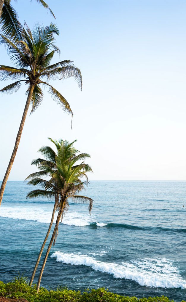 Getaway To This Beach, Relaxed Beach, White Sand, Tropical - Coconut Tree Hill Sri Lanka - HD Wallpaper 