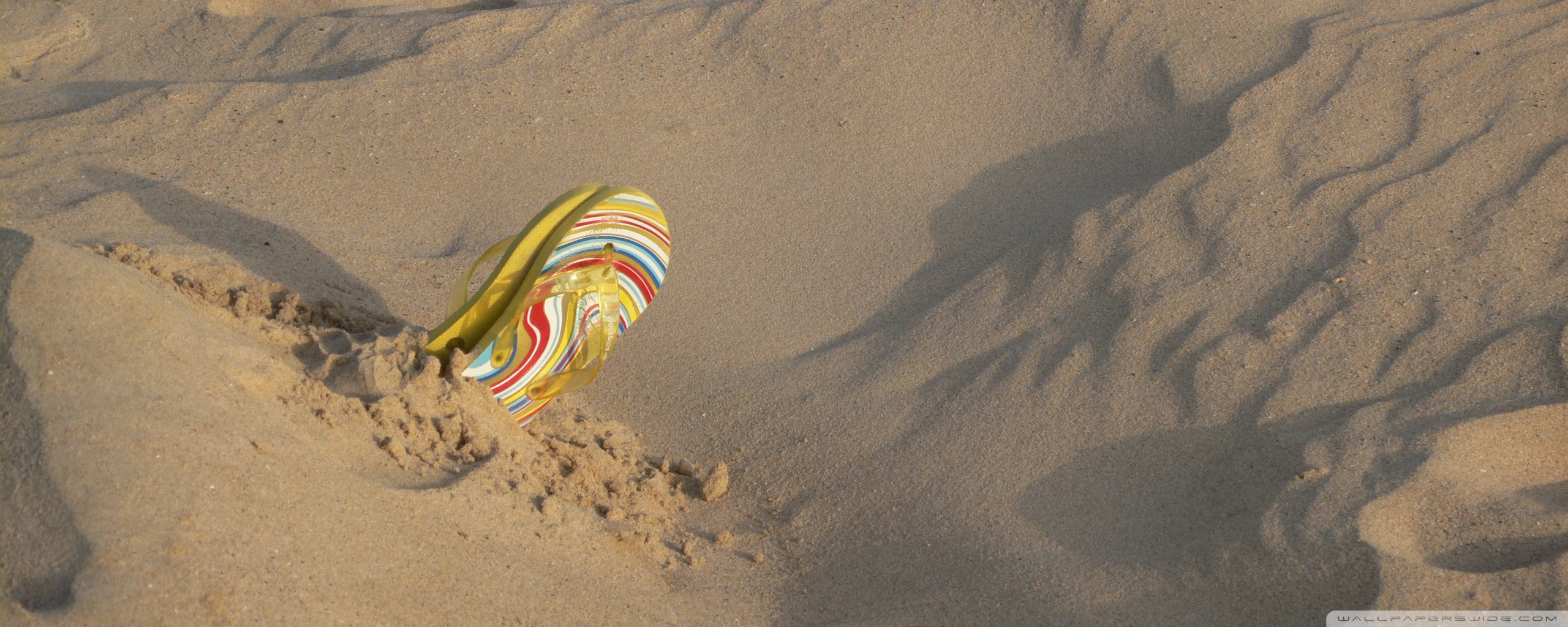 Computer Monitor - HD Wallpaper 