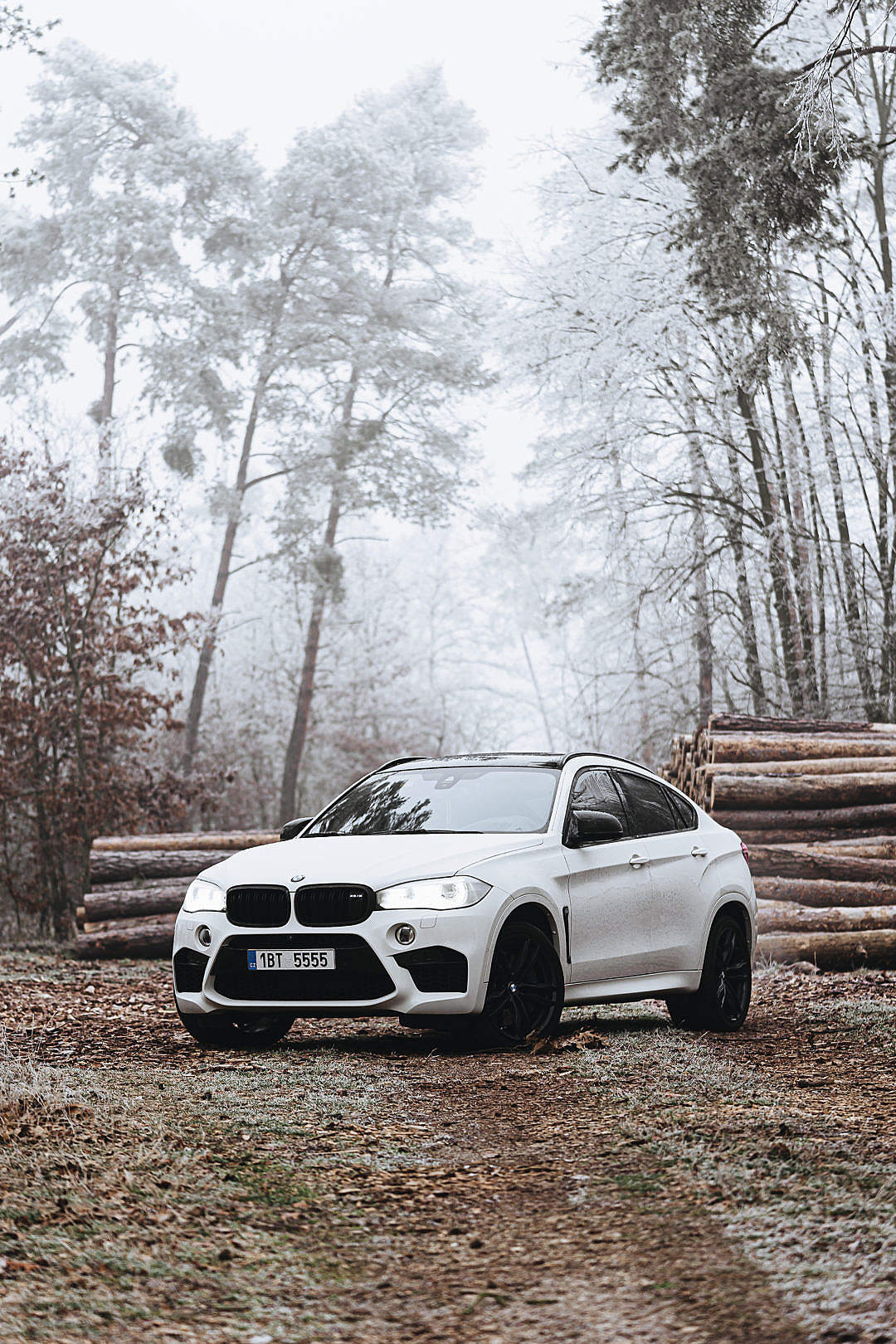 Download Bmw X6m In Frozen Forest Free Stock Photo - Bmw X6m Wallpaper Iphone - HD Wallpaper 