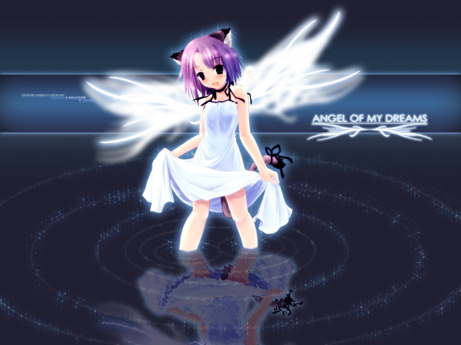 Cat Ears And White Wings Anime - HD Wallpaper 