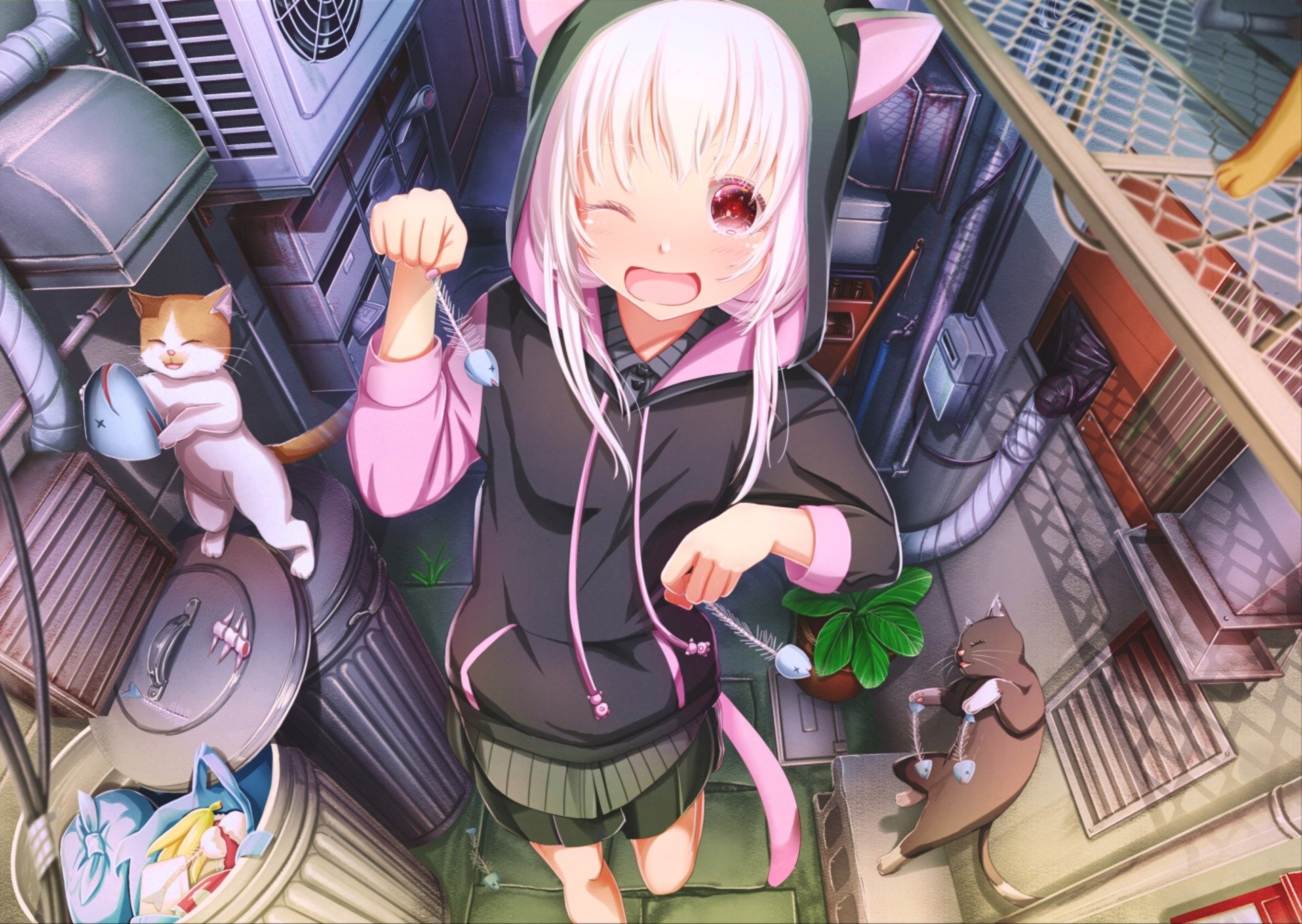 Neko Girl Fondo De Pantalla - HD Wallpaper 