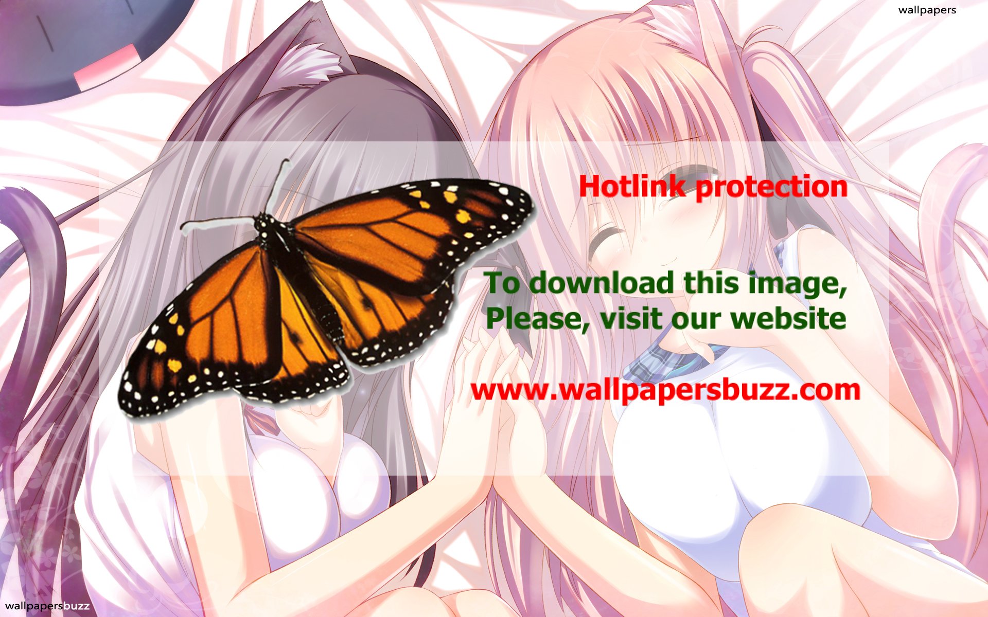 Cat Girl - HD Wallpaper 