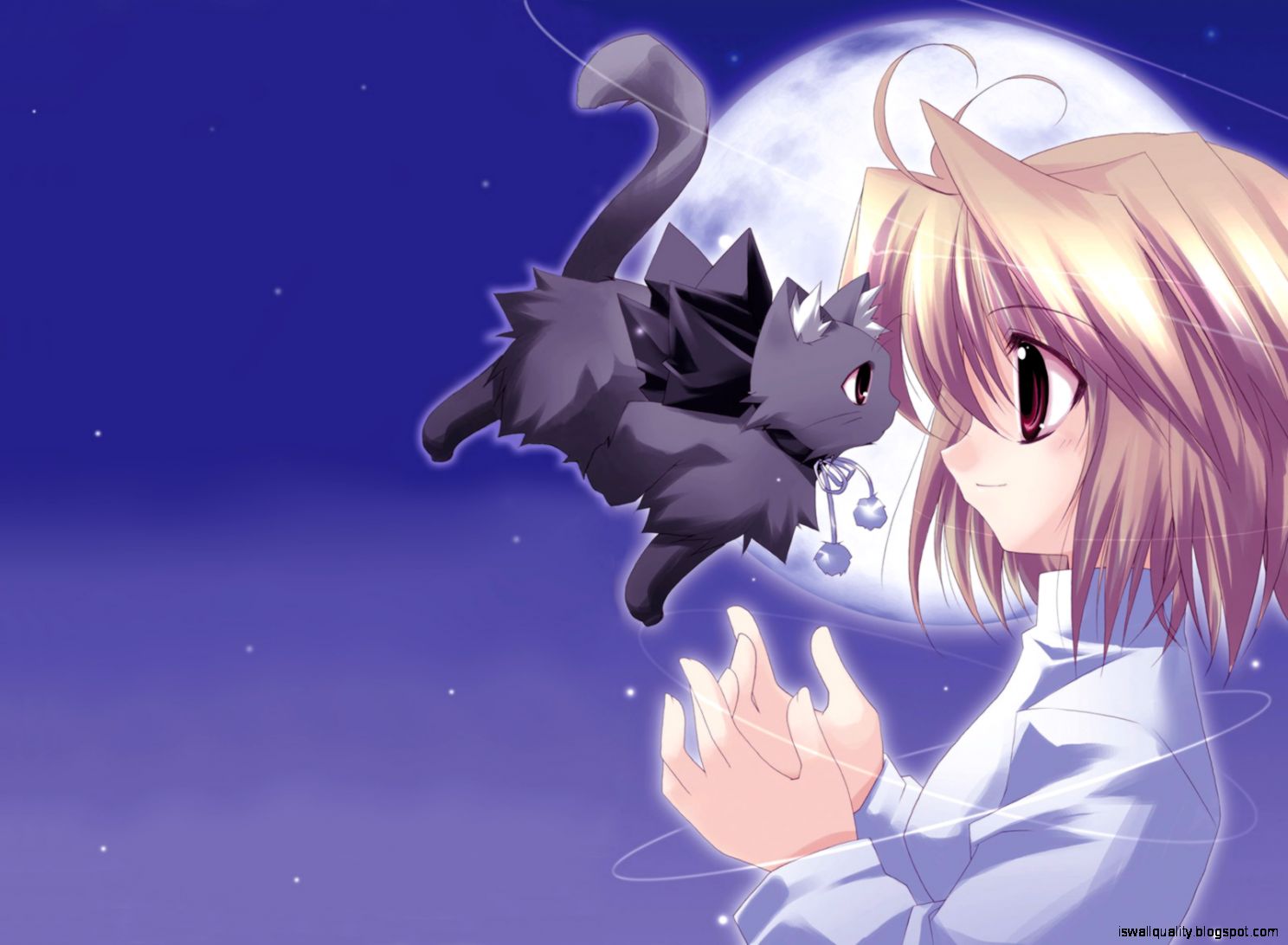 Cute Anime Cat Girl - Anime Wallpaper Kawaii Cat - 1488x1092 Wallpaper -  