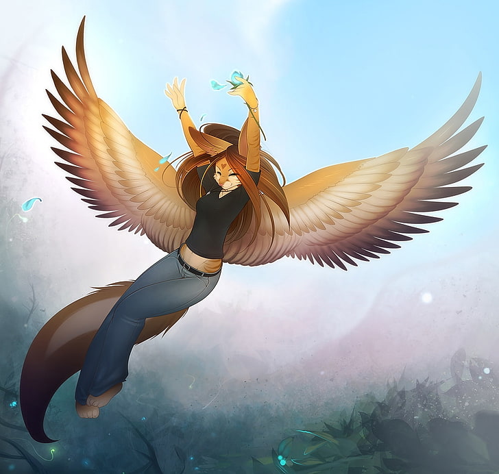 Cat Furry With Wings - HD Wallpaper 