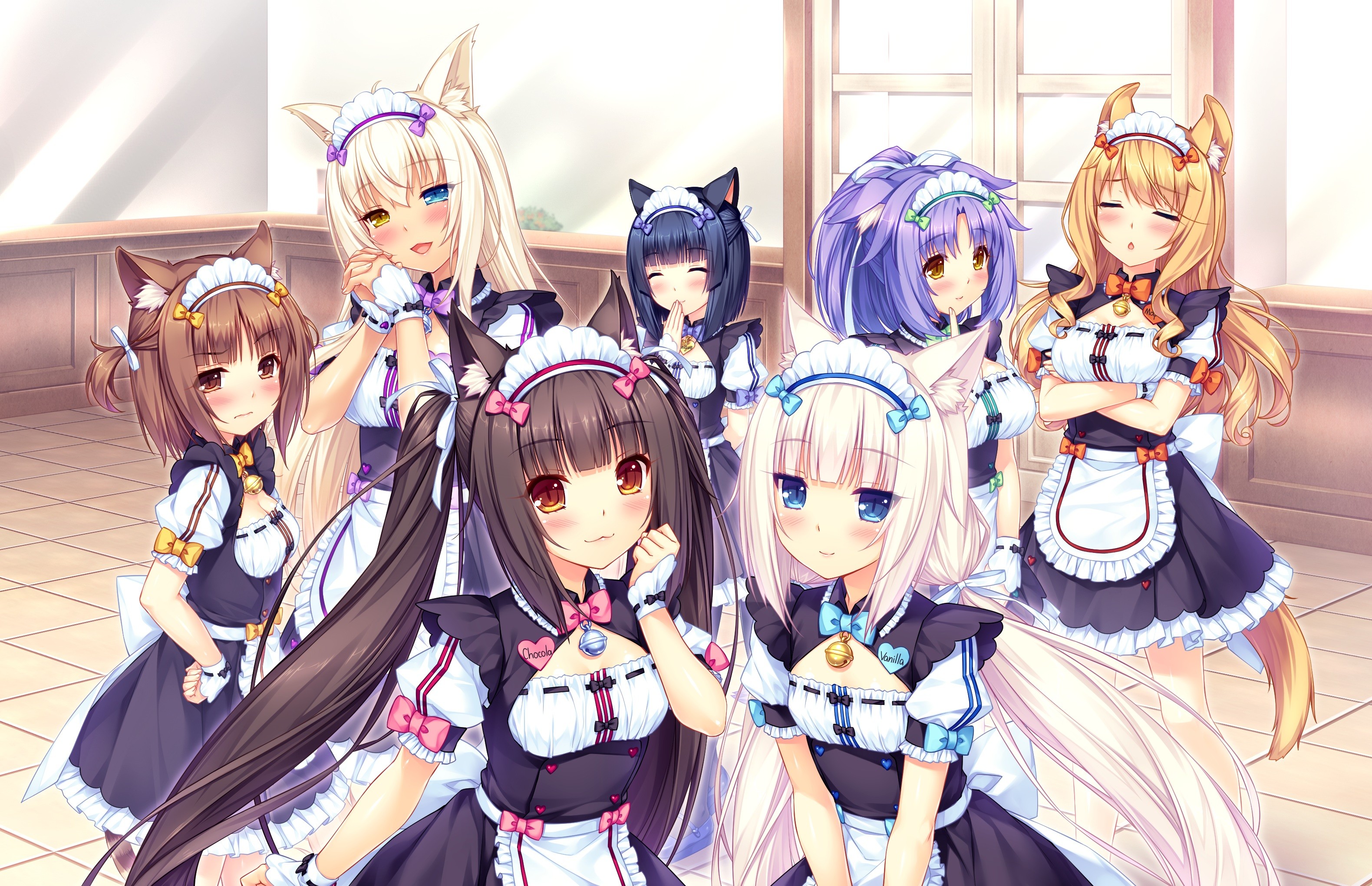 Neko Maid Cafe Anime - HD Wallpaper 