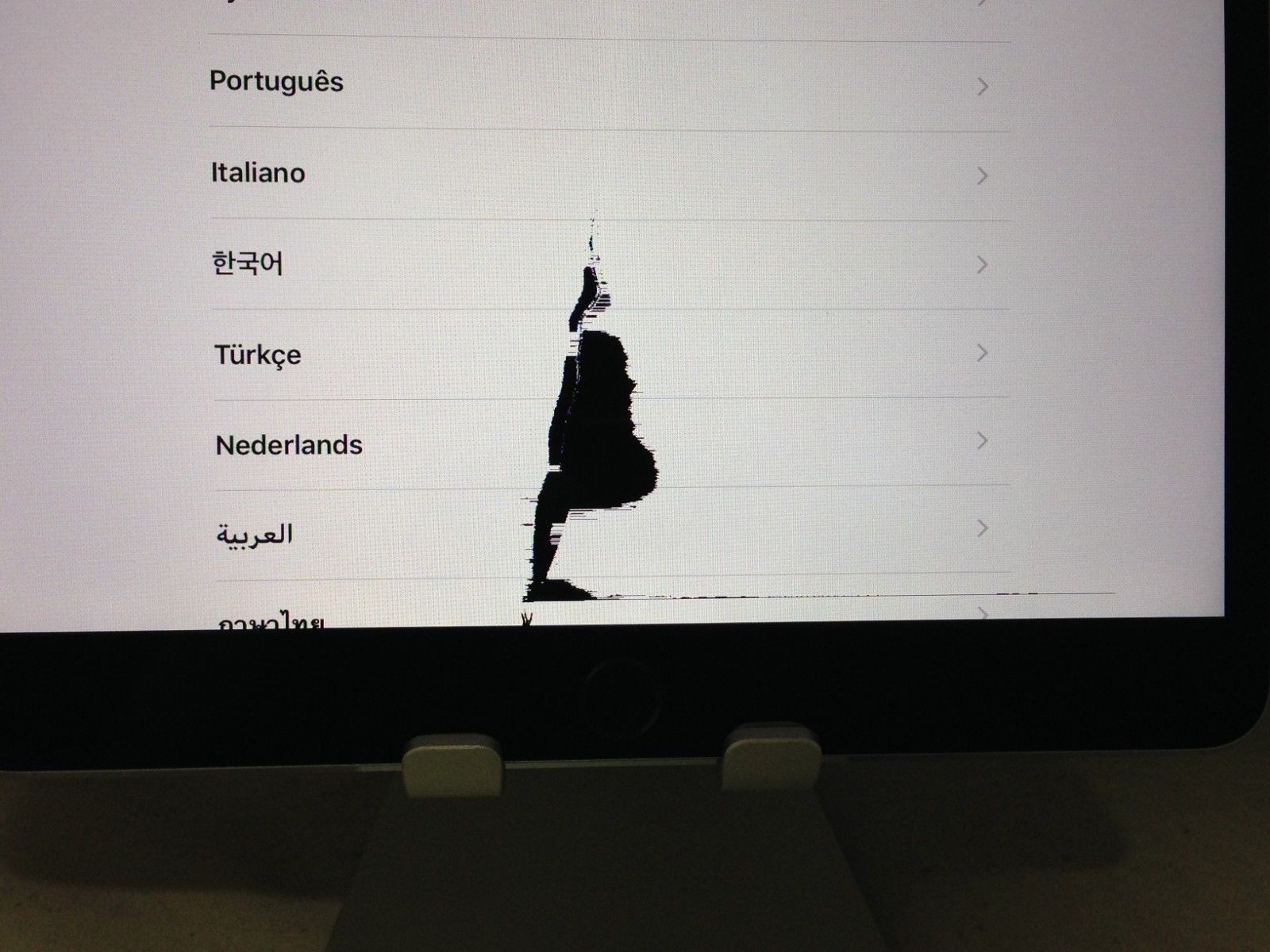 Paper - HD Wallpaper 