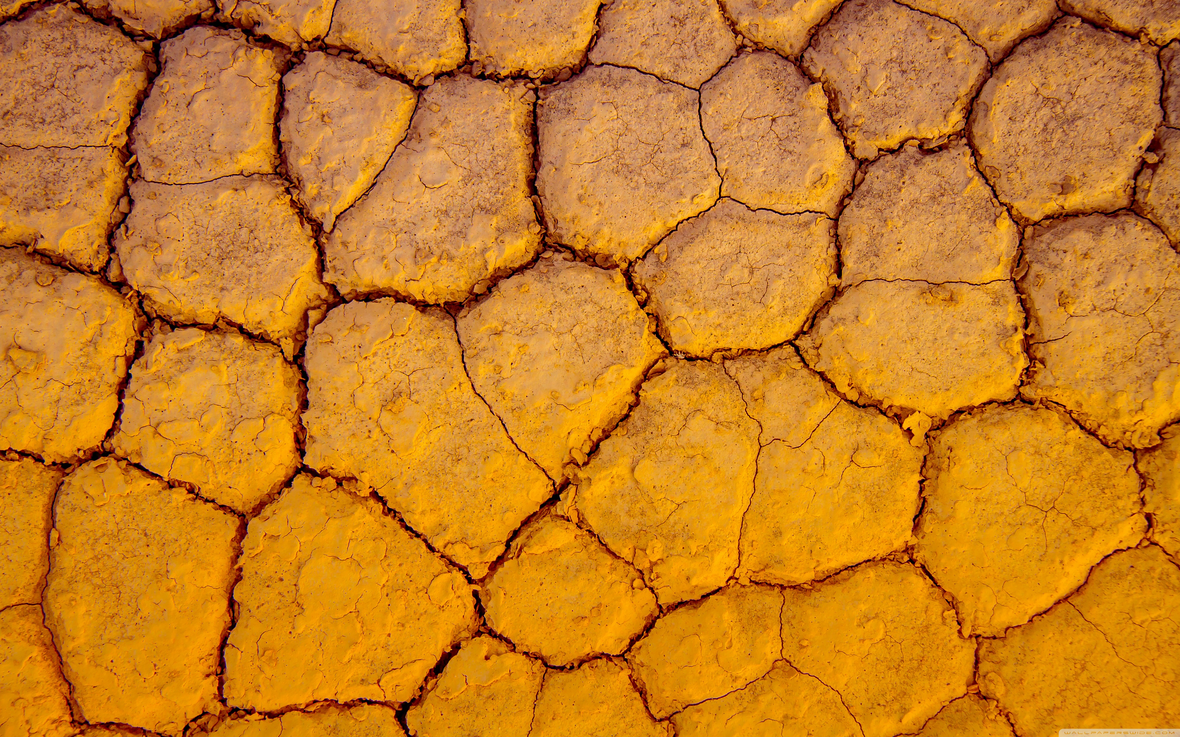 Cracked Ground - HD Wallpaper 