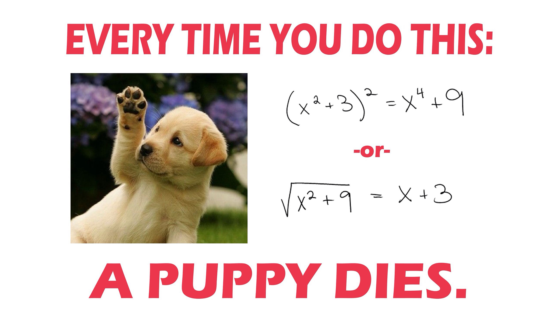 Funny Math Wallpapers - Kill Puppy Math Meme - HD Wallpaper 