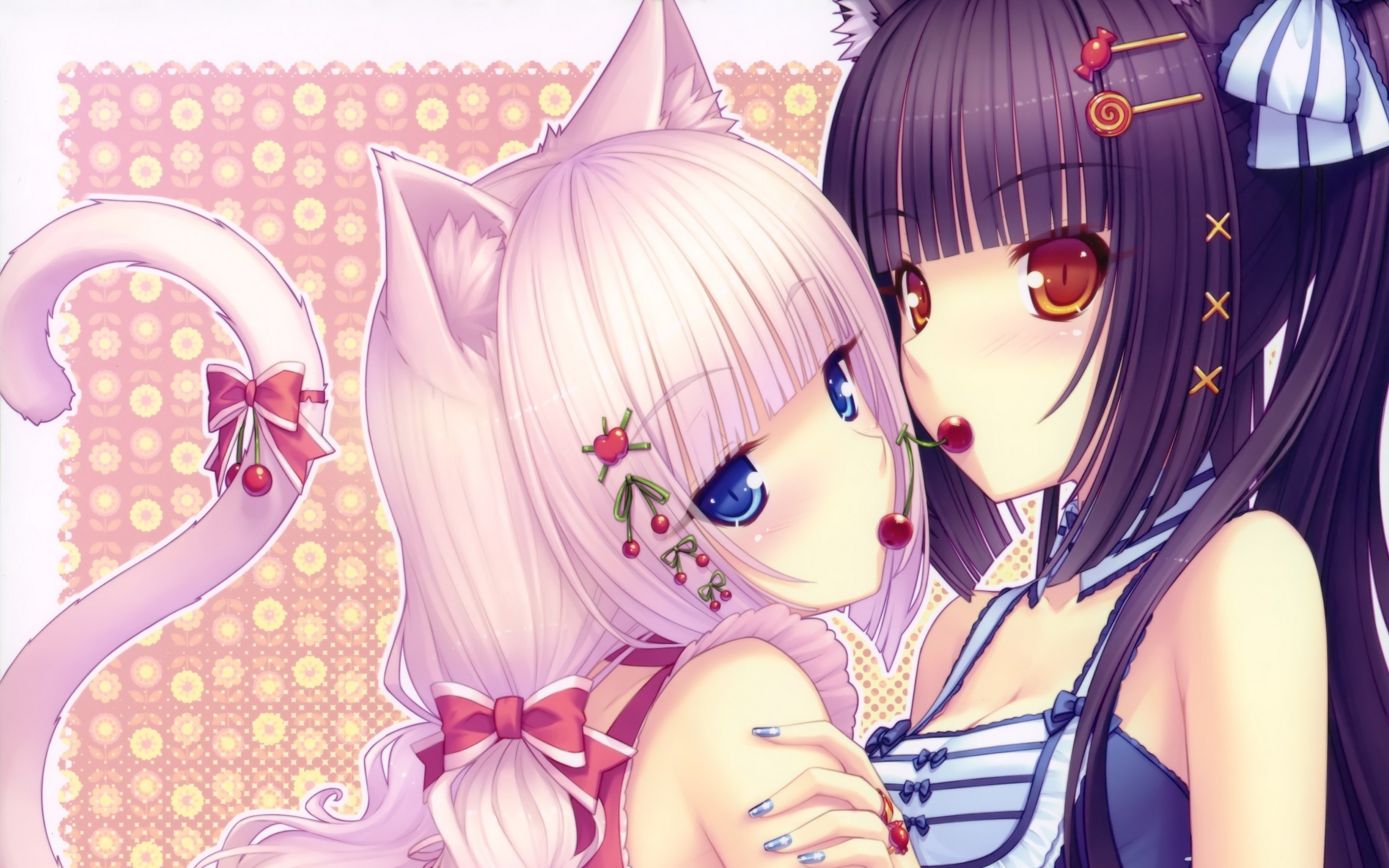 Anime Cat Girl Two - HD Wallpaper 