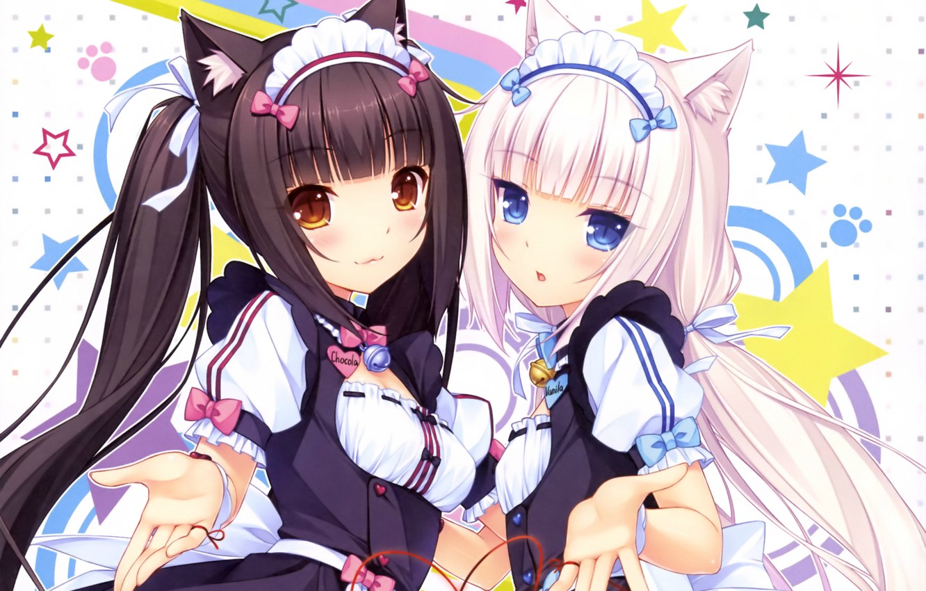 Photo Wallpaper Blue Eyes, Bow, Stars, Ears, Long Hair, - Nekopara Chocola And Vanilla Panties - HD Wallpaper 