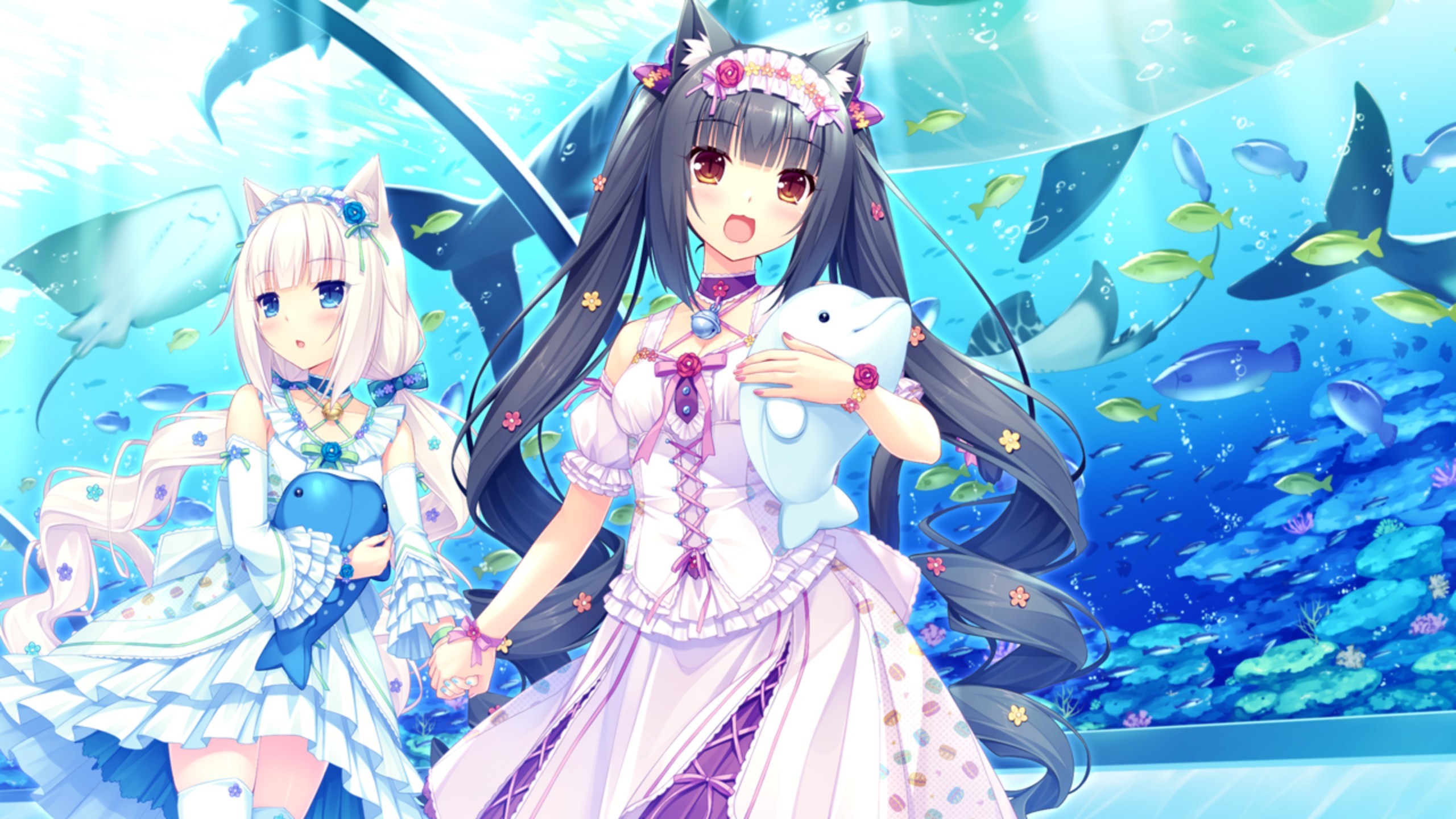 Ảnh Nekopara - HD Wallpaper 