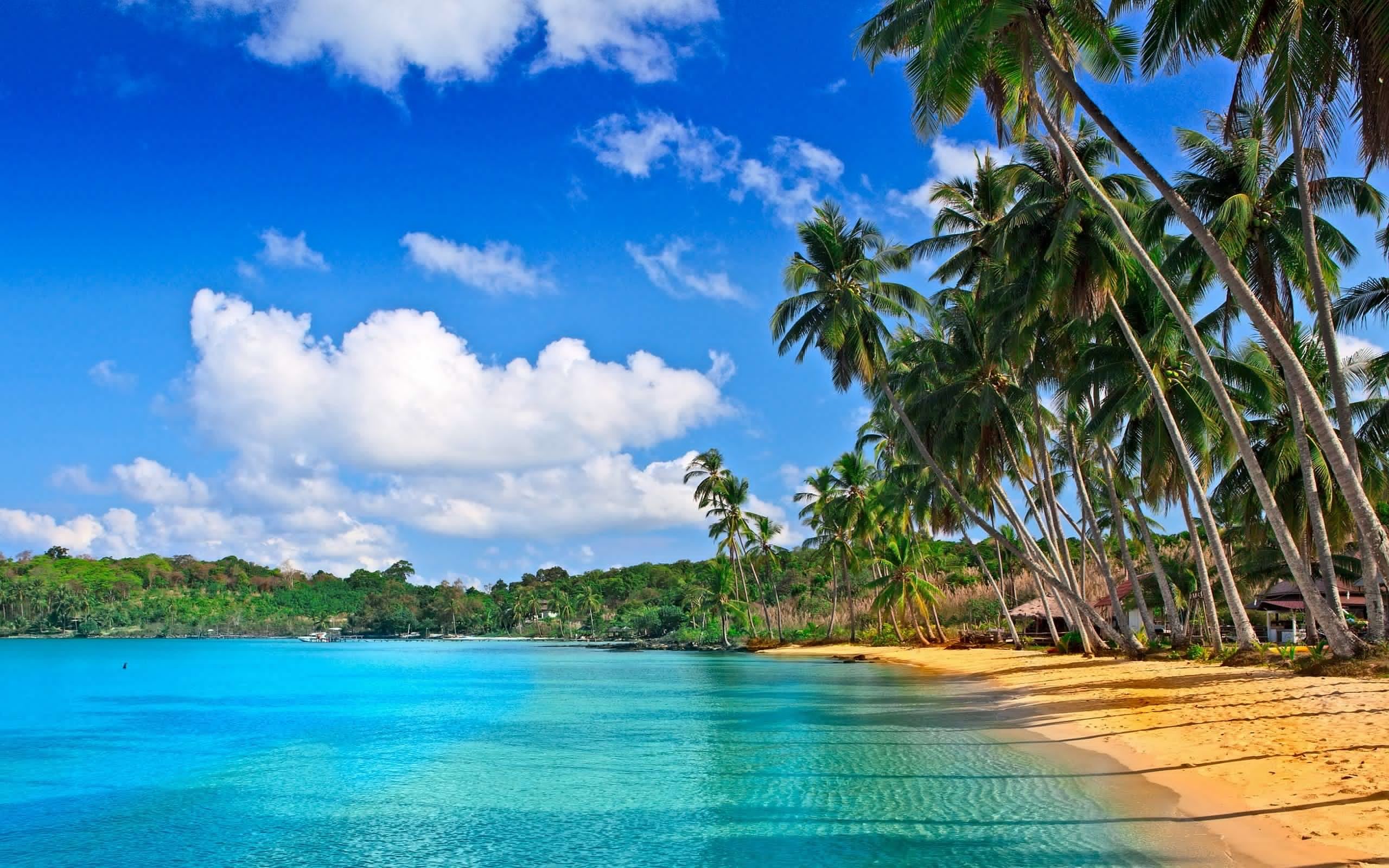 2560x1600, Beach - High Resolution Beach Desktop Backgrounds - HD Wallpaper 