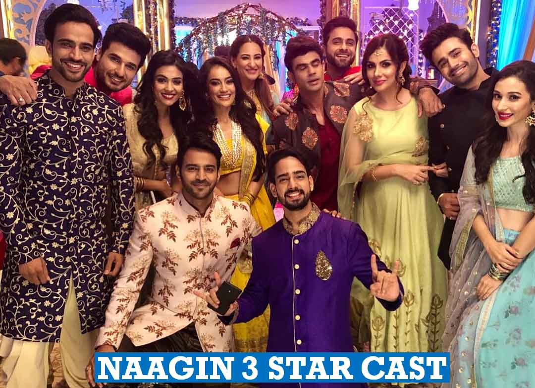 Naagin 3 Star Cast - Decoration - HD Wallpaper 