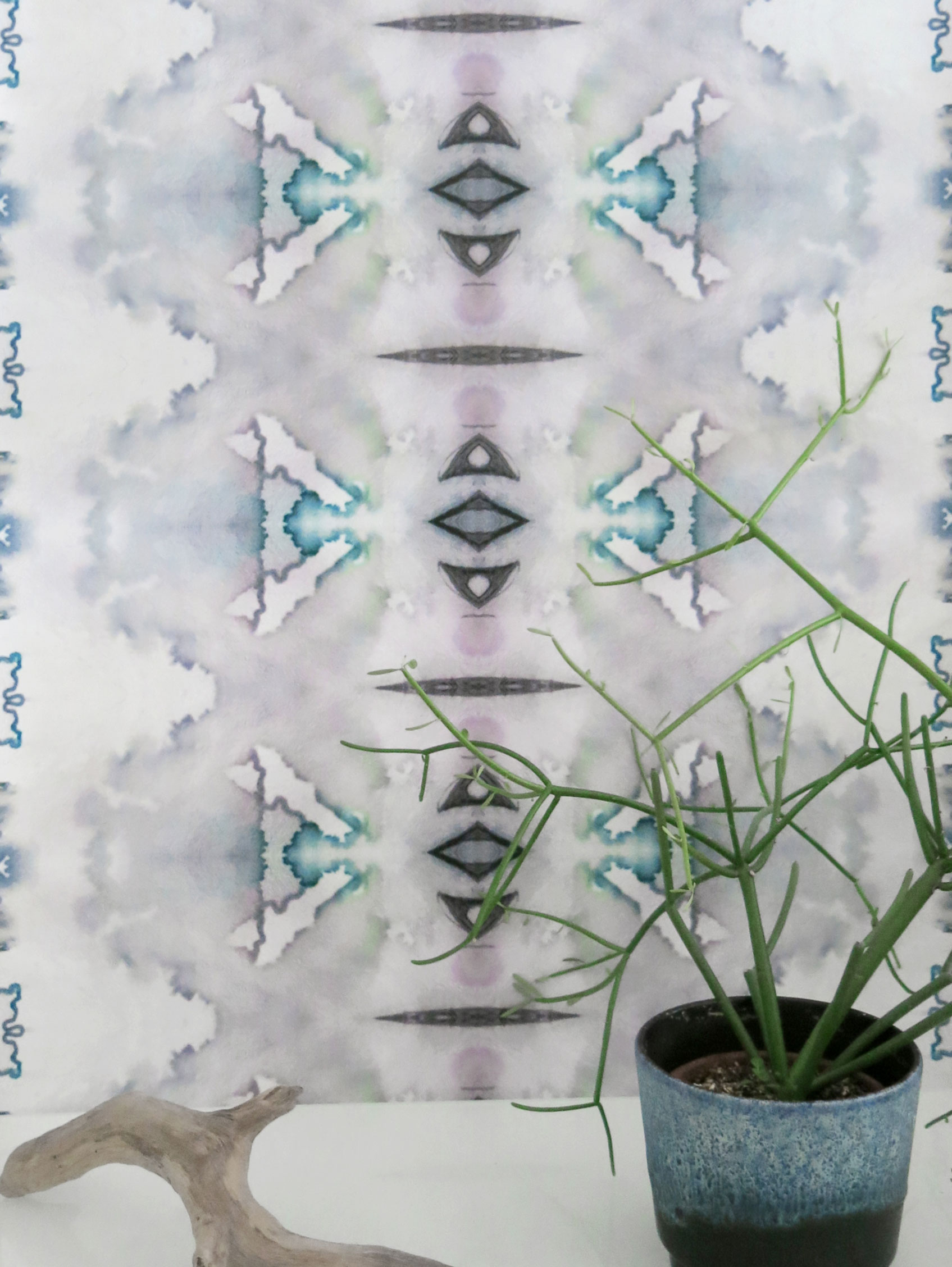 Houseplant - HD Wallpaper 