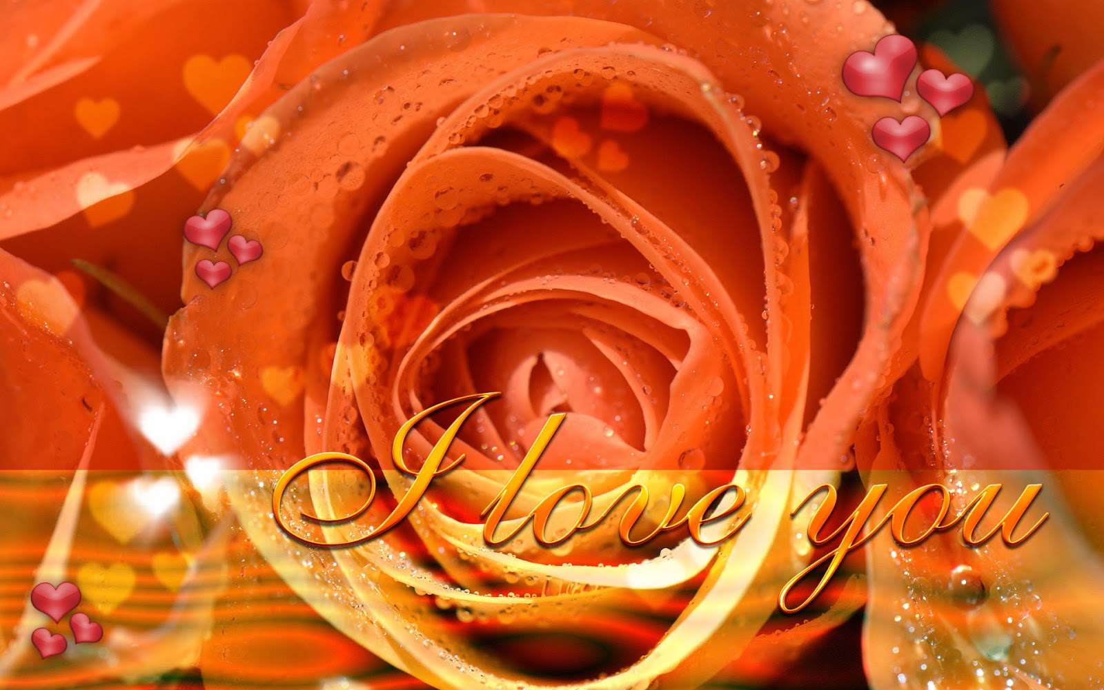 Http - //4 - Bp - Blogspot - Com/ U/az9kehkp Ak/s1600/hd - Love You Orange Roses - HD Wallpaper 