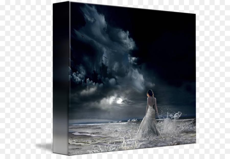 Wallpaper Fotografer - Creative Arts - HD Wallpaper 