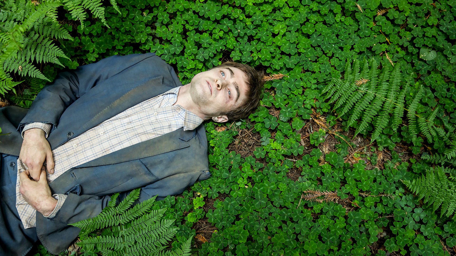 Swiss Army Man Penis - HD Wallpaper 