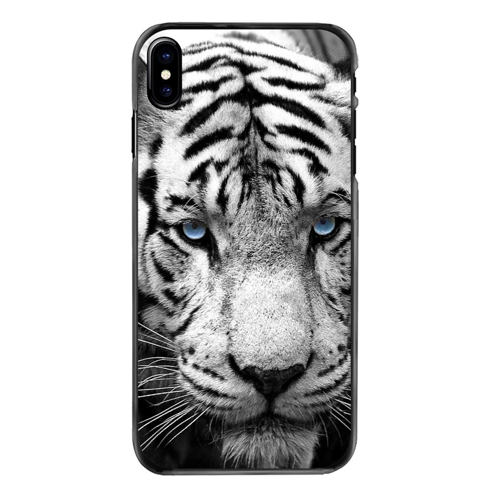 Singapore Zoo - HD Wallpaper 