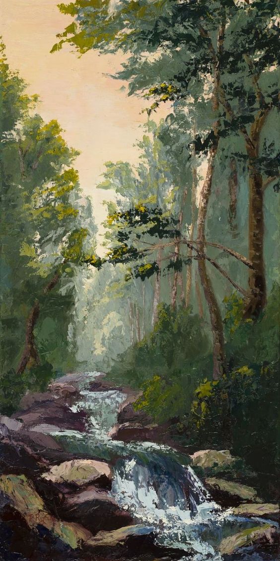 Riparian Forest - HD Wallpaper 