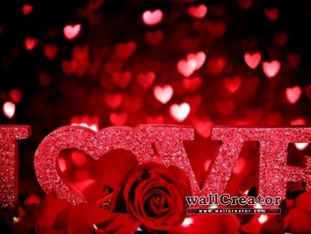 1024 / 768 Wallpaper - Love Wonderful - HD Wallpaper 