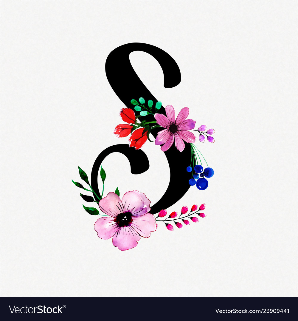 Letter S For Whatsapp Dp - HD Wallpaper 