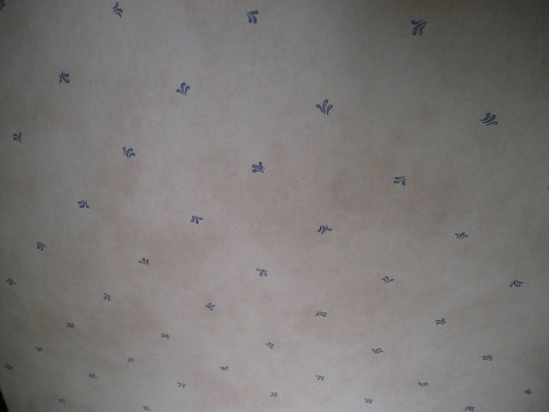 Wallpaper Rosedale Pk1352 Beige Blue Small Print Nip - Pattern - HD Wallpaper 