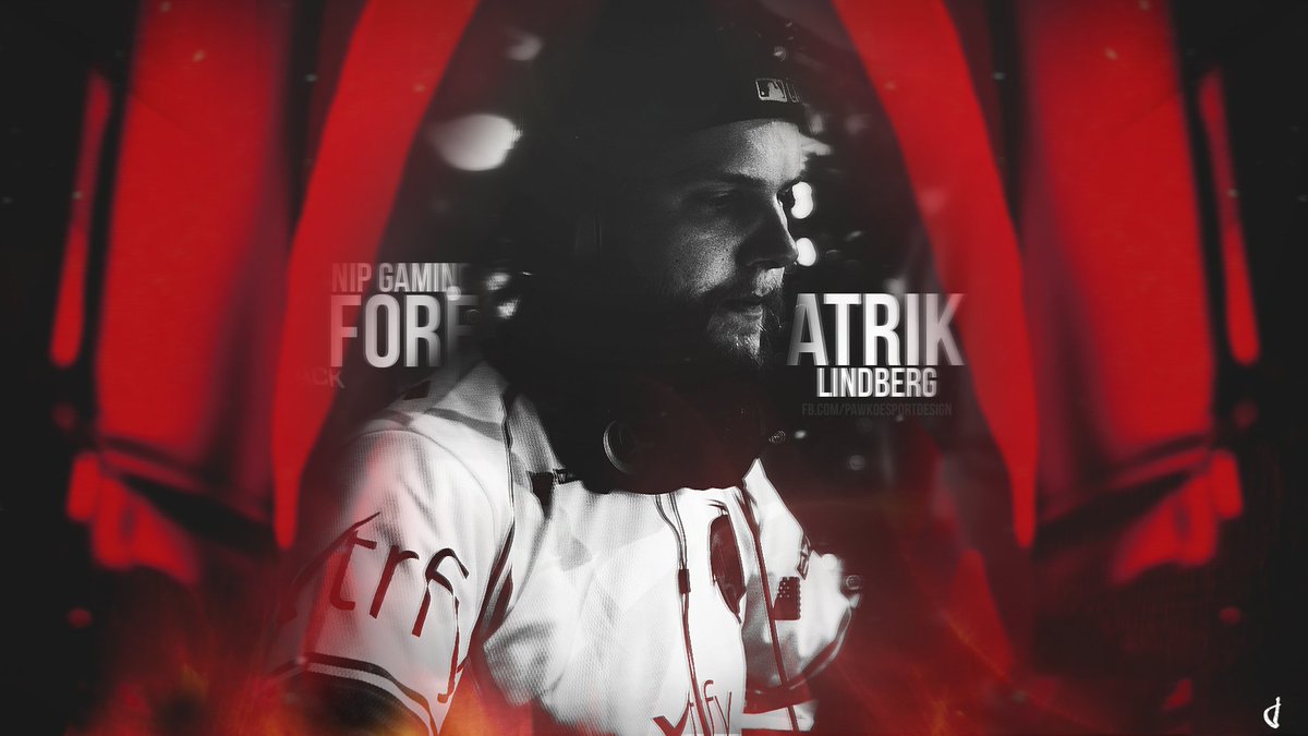 Forest Csgo - HD Wallpaper 