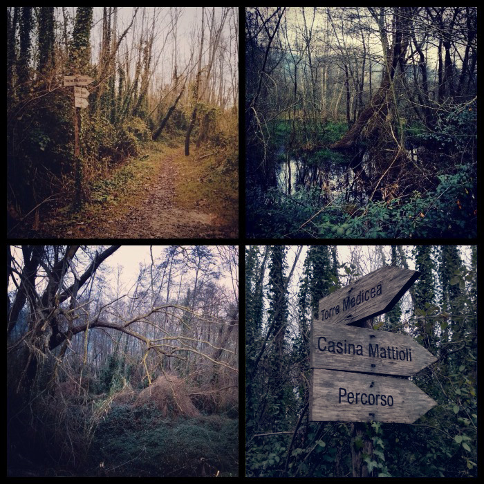 Quadriptych Examples - HD Wallpaper 