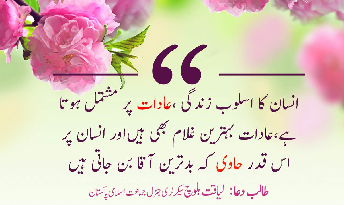 Imagens Lindas De Flores - HD Wallpaper 