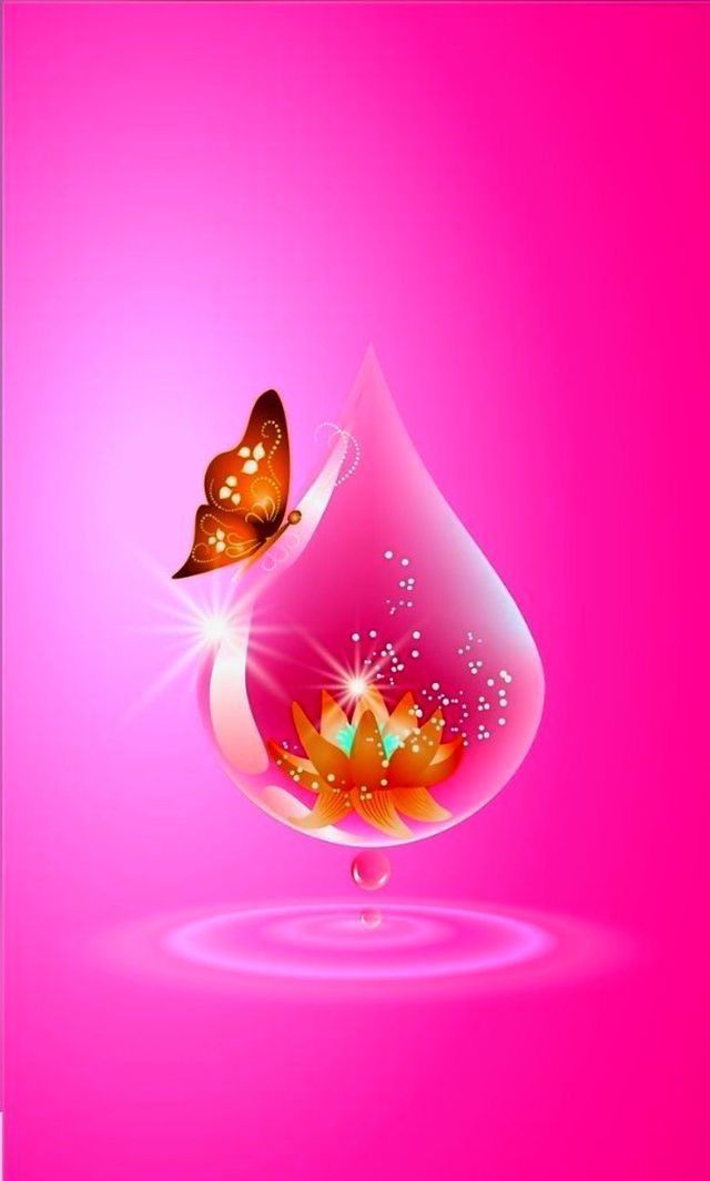 2019 Good Morning Images Hd - HD Wallpaper 