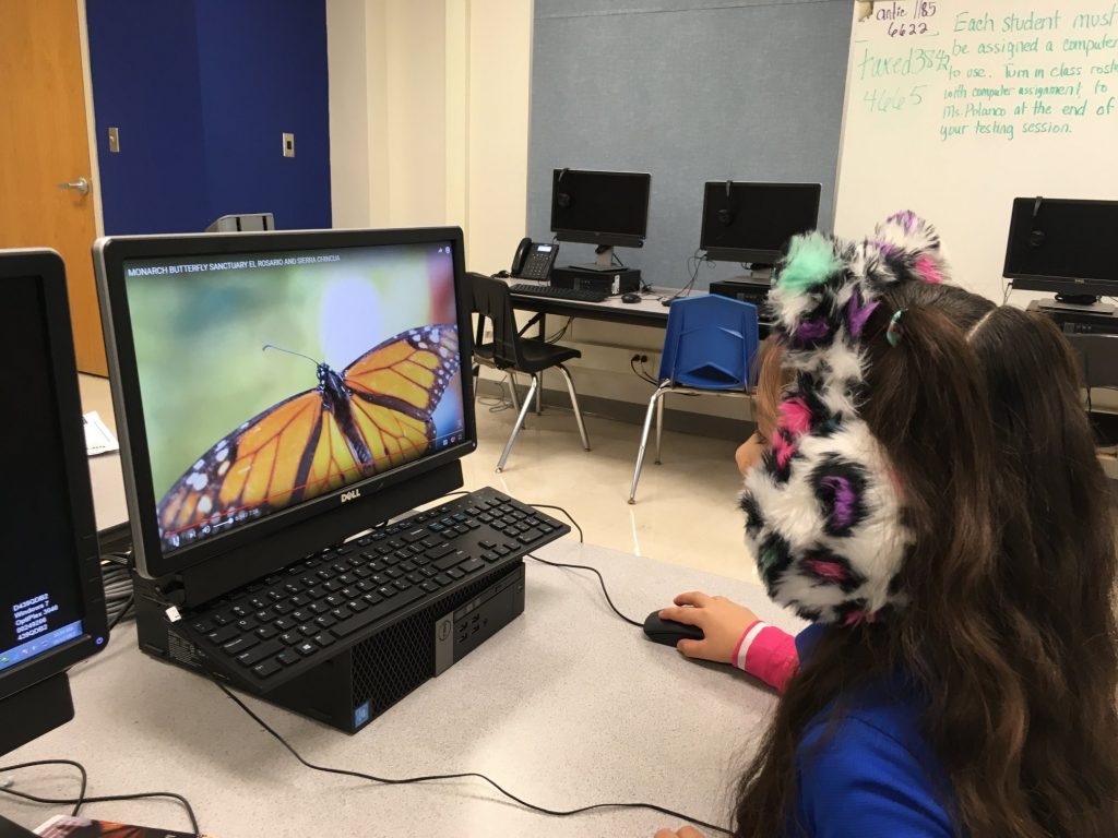 Collins Garden Elementary School 1024x768 Wallpaper teahub.io