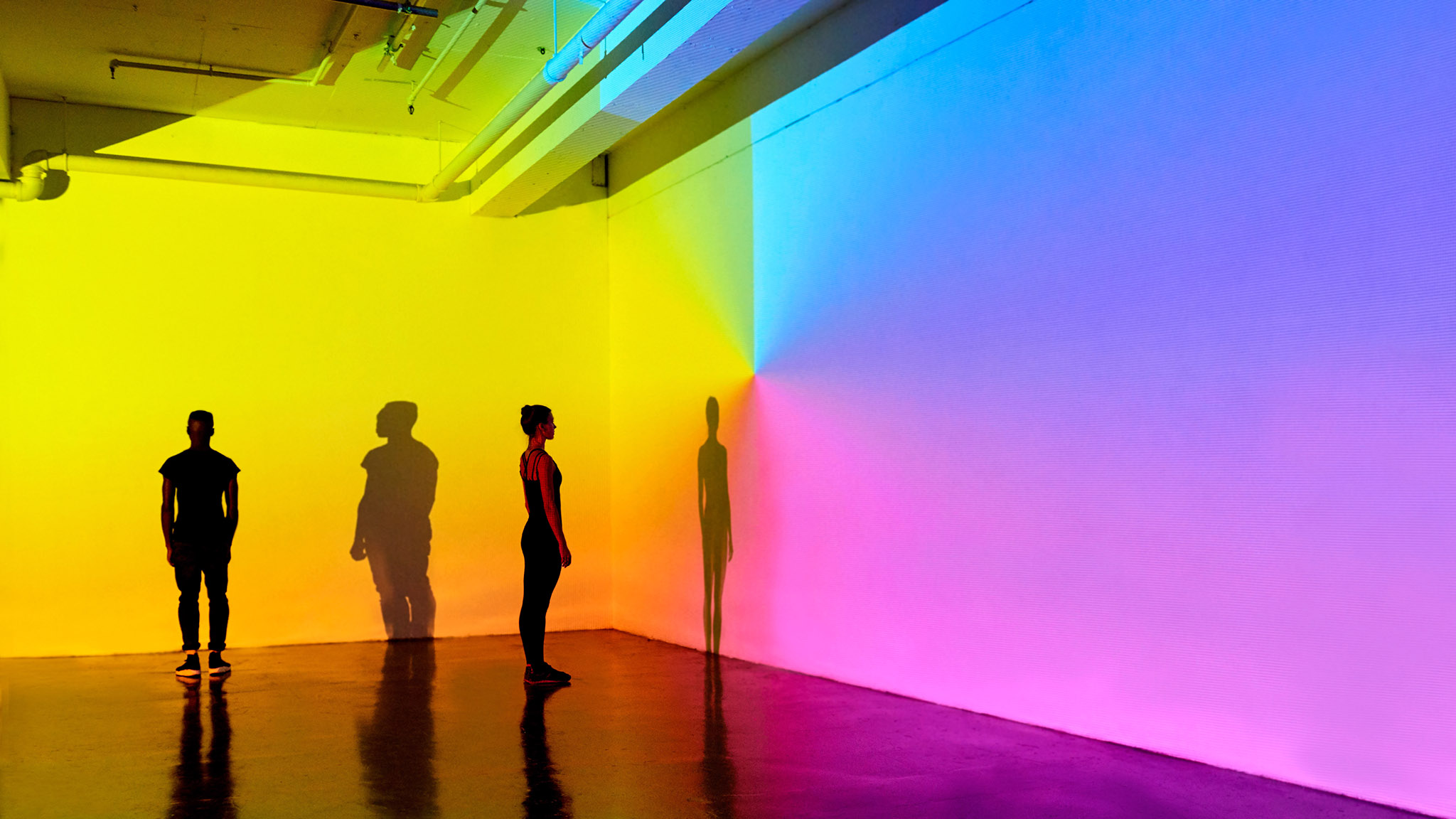 Man And Woman Standing In A Gallery Space With Colourful - Shadow - HD Wallpaper 