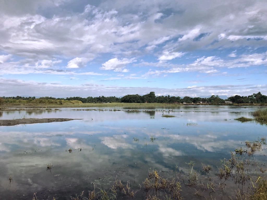 Salt Marsh - HD Wallpaper 