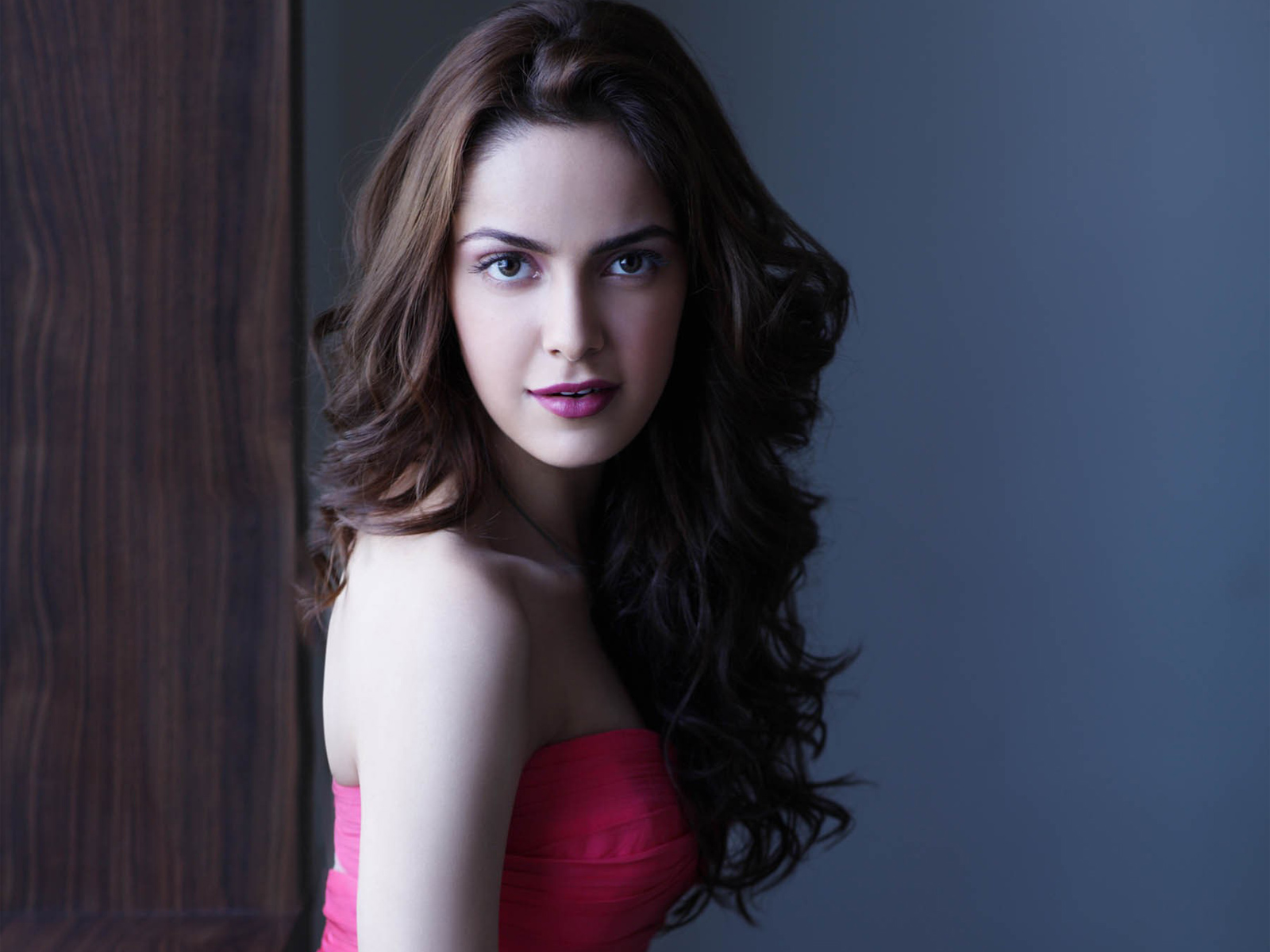 Indian Actress Shazahn Padamsee - Actress Shazahn Padamsee - HD Wallpaper 