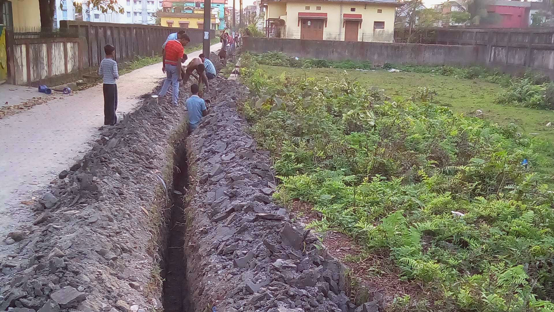 Sowing - HD Wallpaper 