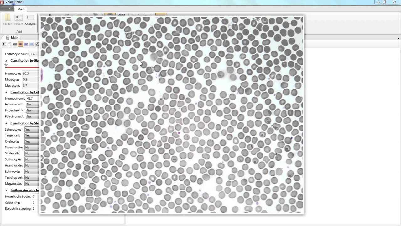 Wallpaper - HD Wallpaper 