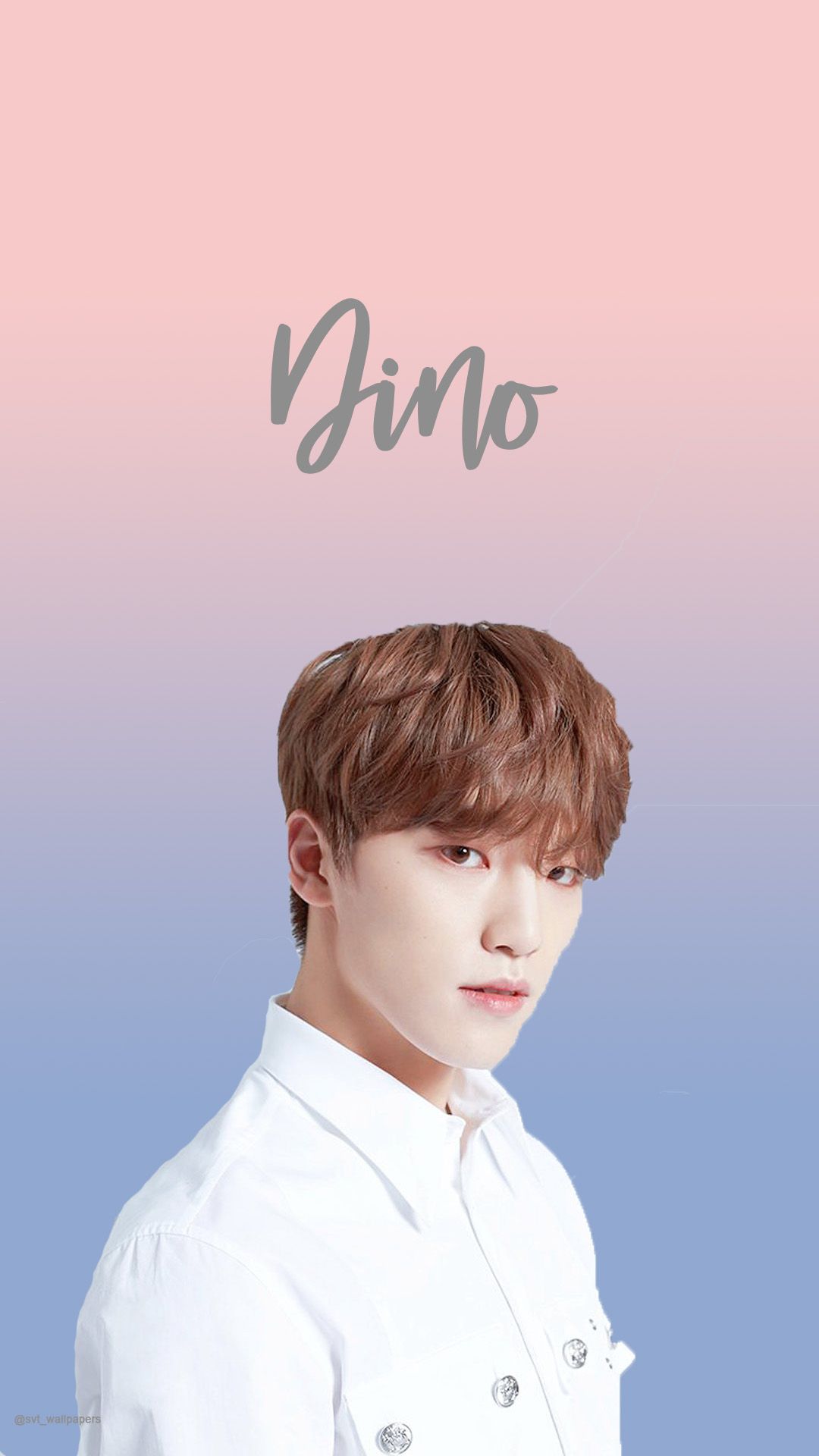 Dino Wallpaper Seventeen - HD Wallpaper 