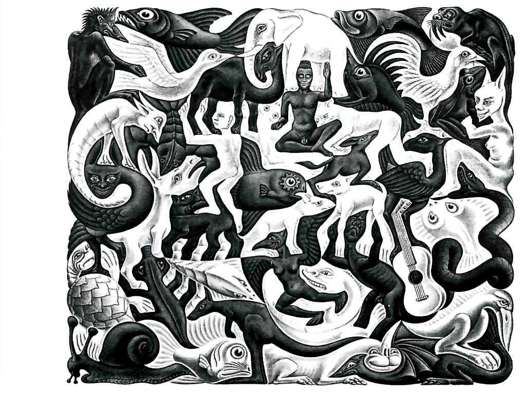 Mc Escher Wallpaper - Escher Plane Filling Ii - HD Wallpaper 