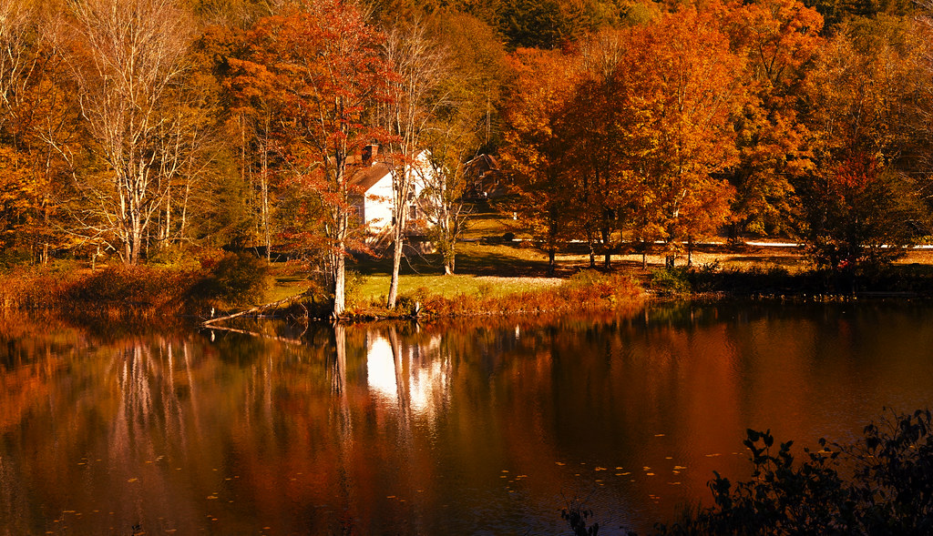 Reflection - HD Wallpaper 