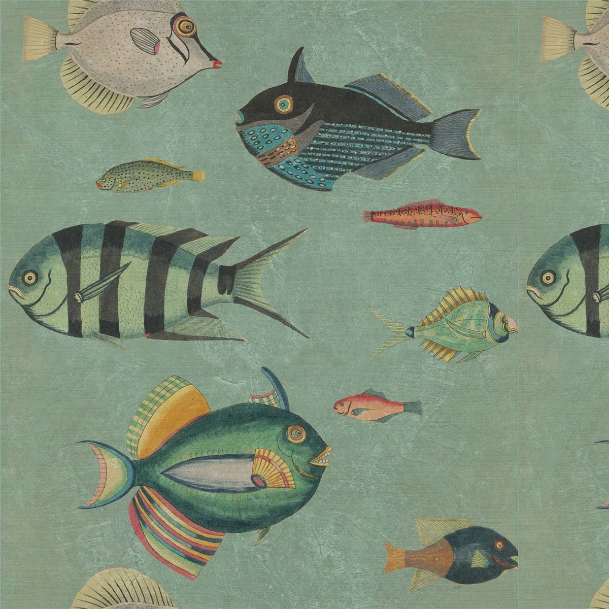 Poissons Wallpaper Mindthegap Green/blue/red Wp20181 - HD Wallpaper 