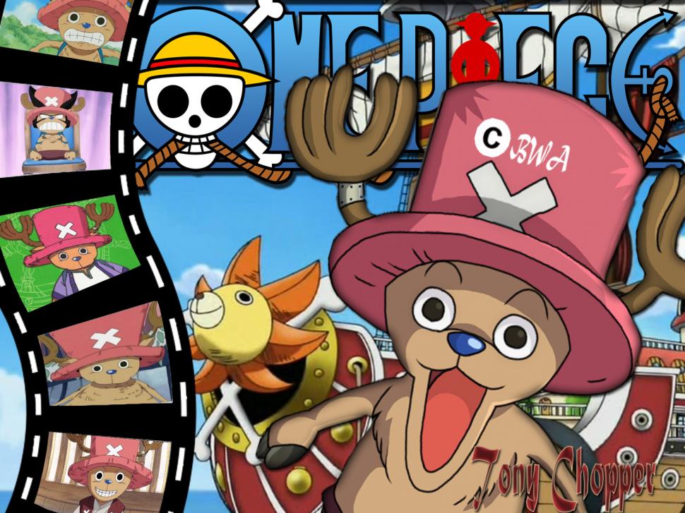 Tony Chopper One Piece High Res Pics Wallpaper Anime 970x727 Wallpaper Teahub Io