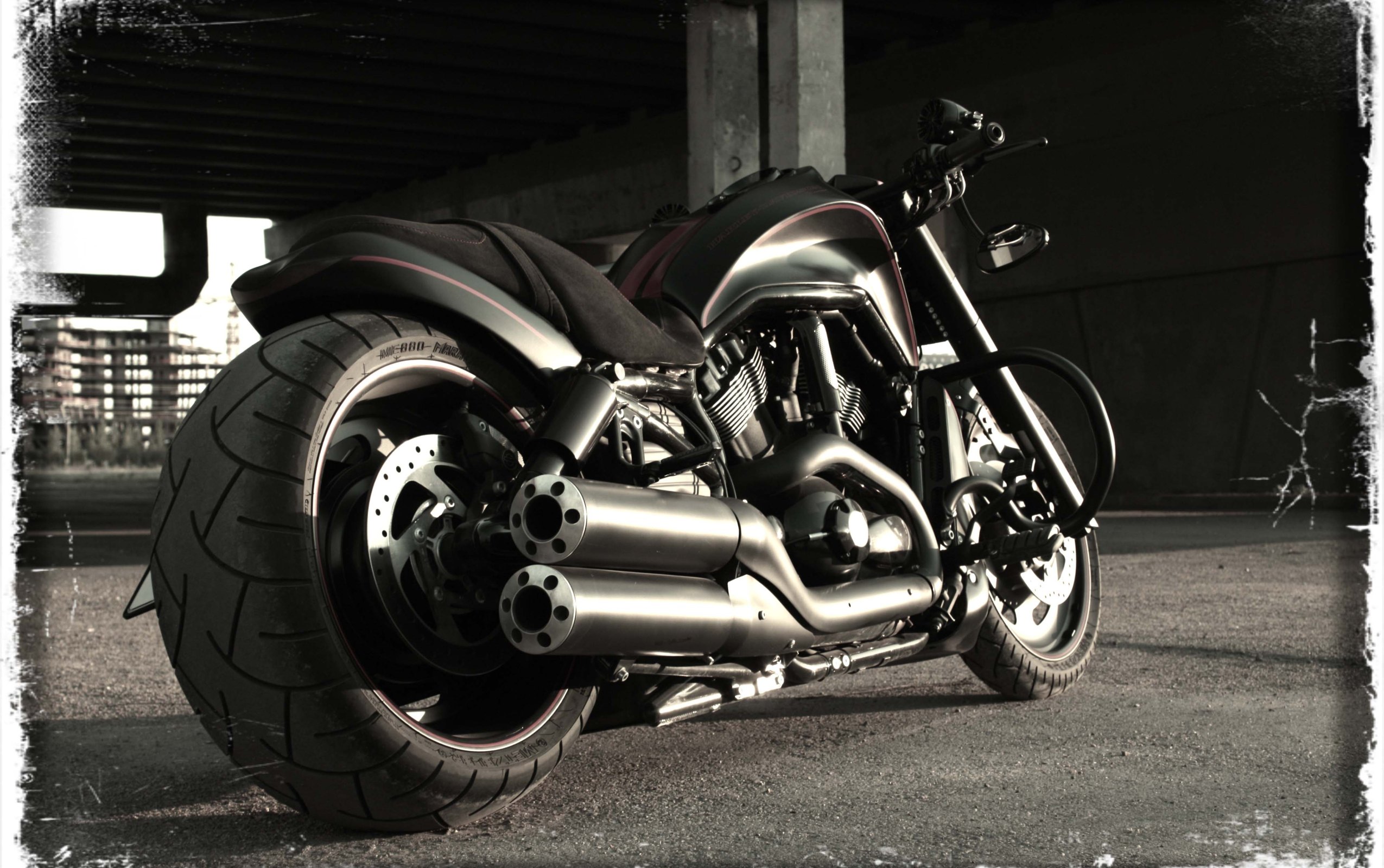 Harley Davidson Night Rod Wallpaper Desktop For Free - HD Wallpaper 