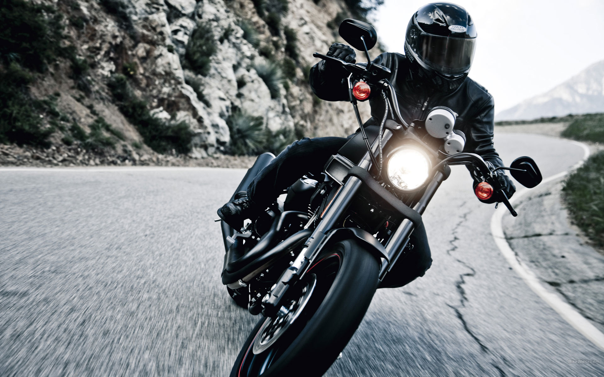 Free Harley Davidson Screensavers Nice Wallpaper - Harley Davidson Xr 1200 X - HD Wallpaper 