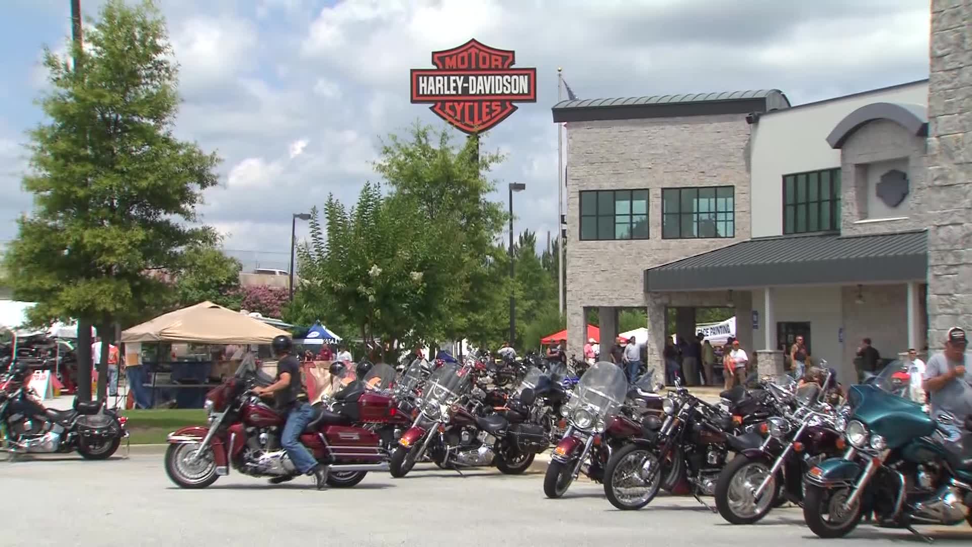 Harley Davidson - HD Wallpaper 